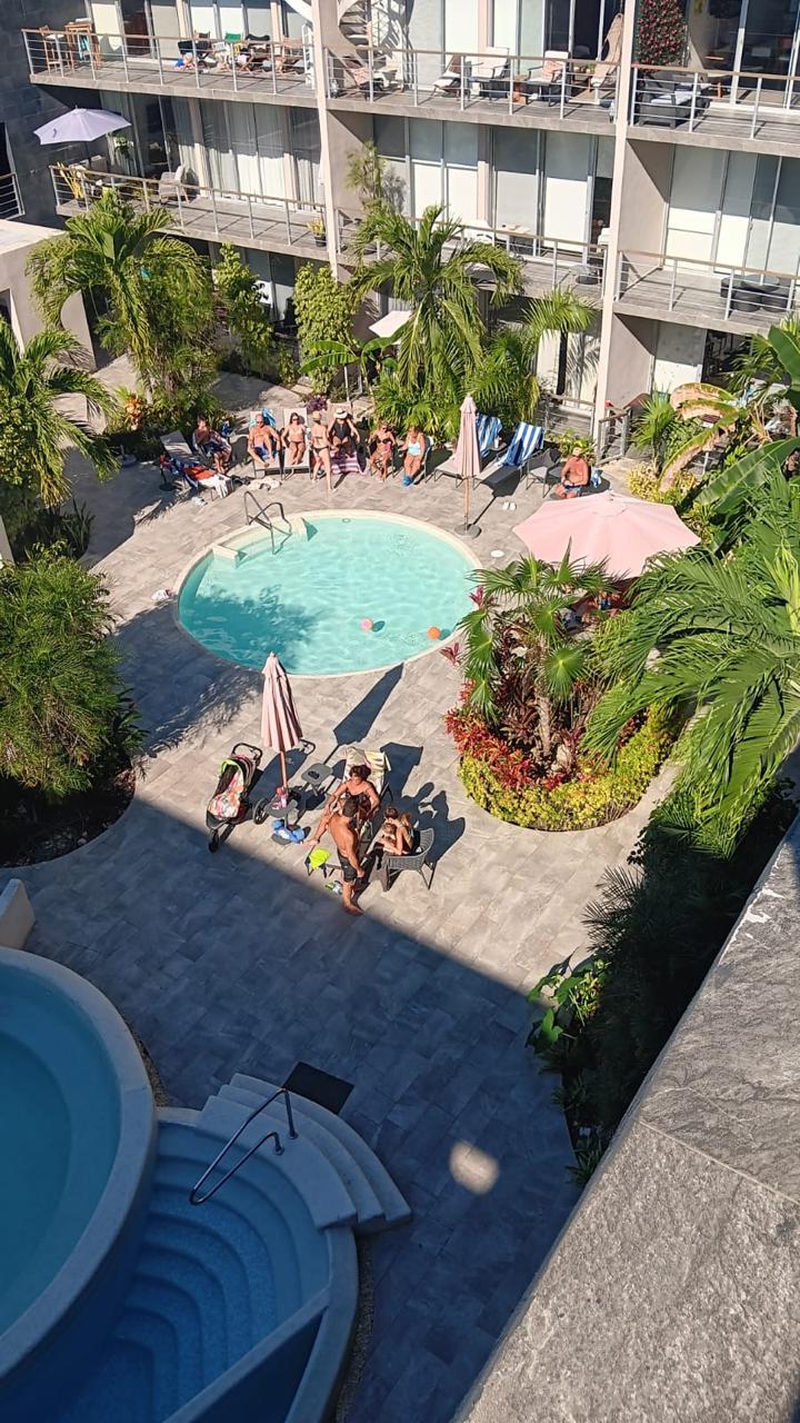 Experiencia Bamoa - Piscina y Palmeras